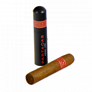  Partagas Serie D 5 TA 1 