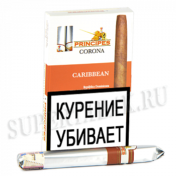  La Aurora Principes - Corona Caribbean (Rom) - 1 
