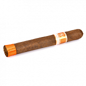 ������ Rocky Patel - World Championship - Toro (1 ��.)