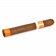 ������ Rocky Patel - World Championship - Toro (1 ��.)