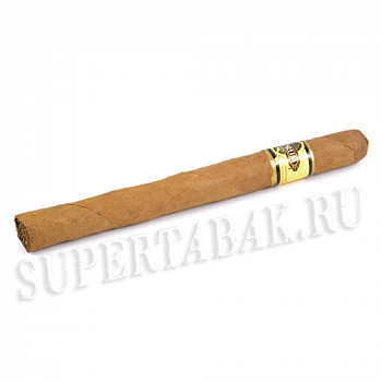 ������ Quorum - Shade - Churchill  (1 ��.)