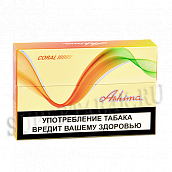 ���� Ashima - Coral