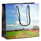 ���������� ����� - Vega de tabaco (Habanos) �� 50 �����