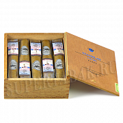 ������ Stanislaw - Panzu (1 ��.)