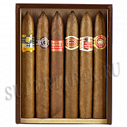   Combinacion Seleccion PIRAMIDES  6    -