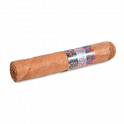 ������ La Instructora - Perfection Short Robusto (1 ��.)