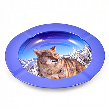 ���������� ������� ������ - ����