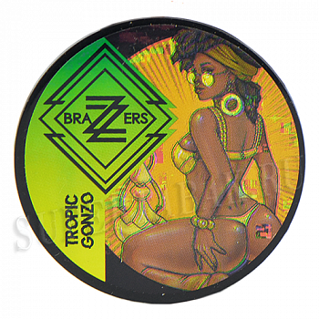 ����� ��� ������� Brazzers - Tropic Gonzo (20 ��) - SALE!!!