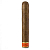  Cain Daytona - Double Toro (1 .)