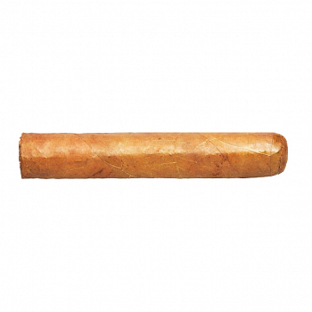  Horacio - Esteli Club 3 (1 .)