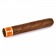 ������ Cain Daytona - Robusto (1 ��.)