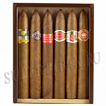   Combinacion Seleccion PIRAMIDES  6    -