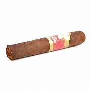 Joya De Nicaragua - Flor De Nicaragua - Robusto (1 .)