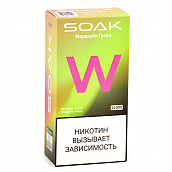 POD- SOAK W -  -  (10.000 ) - 2% (1 .)