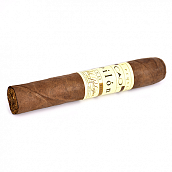  CAO - Pilon - Robusto (1 .)