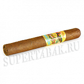  Paradiso - Quintessence Epicure (1 )