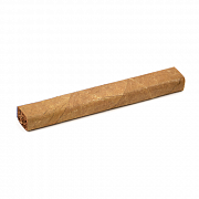  Villiger Export Classic (1 .)