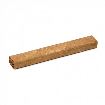  Villiger Export Classic (1 .)
