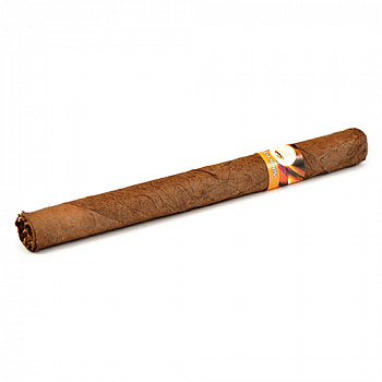 ������ Tatiana - Classic - Harvest Moon (1 ��.)