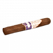  Rocky Patel - Special Edition - Robusto (1 .)