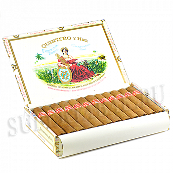  Quintero Londres Extra ( 25 .)