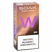 POD- SOAK W -    (10.000 ) - 2% (1 .)