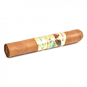  Paradiso - Elegancia Robusto (1 .)