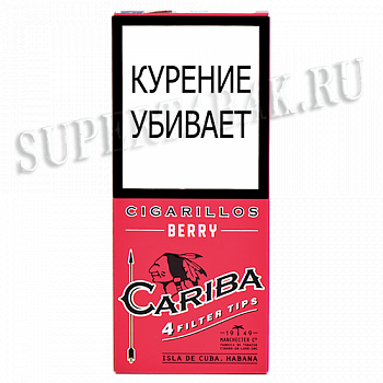 ��������� Cariba Wood Tip Berry - 4 ��.