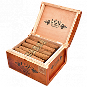  Oscar Valladares - Leaf Corojo Sixty (1 .)