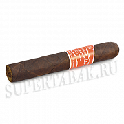 ������ Casa Turrent - Nicaragua - Robusto (1 ��)