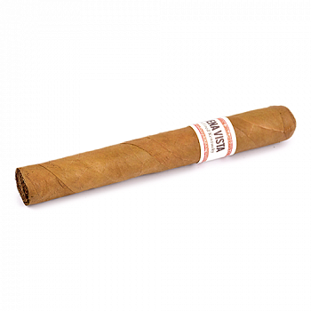  Buena Vista - Dark Fired Kentucky - Toro (1 .)