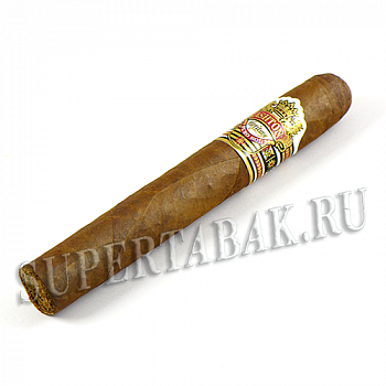  Ashton Heritage Puro Sol Robusto (1 )