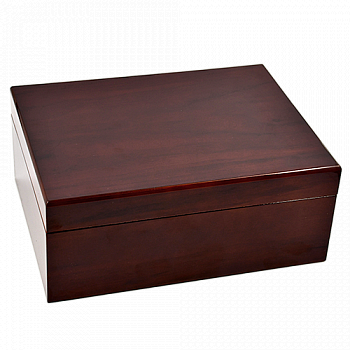 �������� Aficionado - Bellevue (50-60 �����)