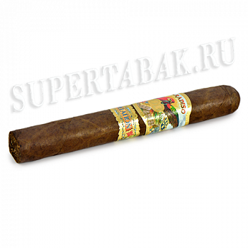  Paradiso - Revelation Legend (1 )