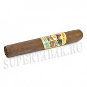  Paradiso - Quintessence Robusto (1 )