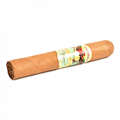 ������ Paradiso - Elegancia Grandioso (1 ��.)