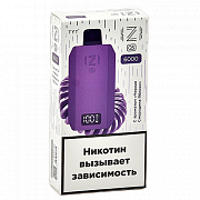 ���� IZI QS (6.000 �������) - ׸���� ��������� - ������ (1 ��.)