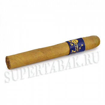 ������ Principle Cigars Accomplice Connecticut Blue Blend - Toro (1 ��.)
