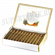  Cuaba Exclusivos ( 25 .)