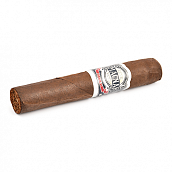 ������ Casa Magna - Oscuro Robusto (1 ��.)