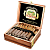  Arturo Fuente - Don Carlos - Double Robusto (1 .)
