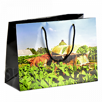 ���������� ����� - Vega de tabaco (Habanos) �� 10 �����