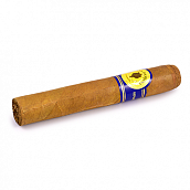 ������ Santa Damiana Classic - Robusto (1 ��.)