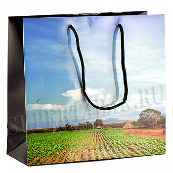 ���������� ����� - Vega de tabaco (Habanos) �� 50 �����