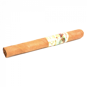  Paradiso - Elegancia Churchill (1 .)