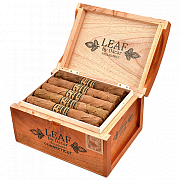  Oscar Valladares - Leaf Connecticut Toro (1 .)