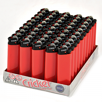 ������ �������� NEW - ���������� (1 ��.)