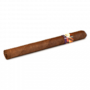 ������ Tatiana - Classic - Groovy Blue (1 ��.)