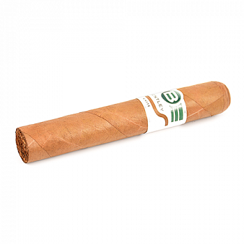 ������ Bentley - White Robusto (1 ��.)