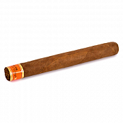  Cain Daytona - Corona (1 .)